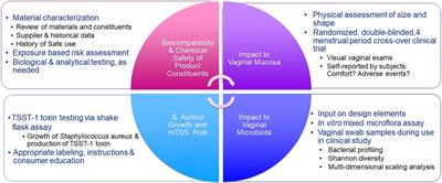 The safety assessment of tampons: illustration of a comprehensive approach for four different products